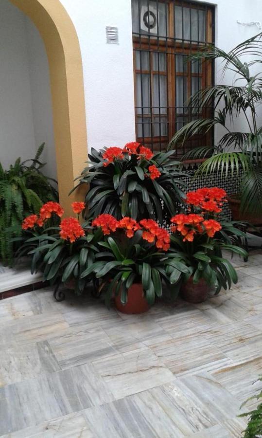 Apartamento Córdoba centro esencia cordobesa. Mezquita Exterior foto